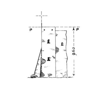 152095 - VICALVI