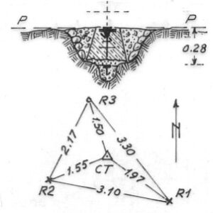 152183 - ROSA PINNOLA