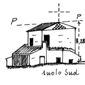 155185 - MASS.FLOCCO-CONTRADA MACCHIONI