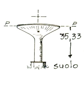 158250 - SERBATOIO ACQUEDOTTO TORVAIANICA