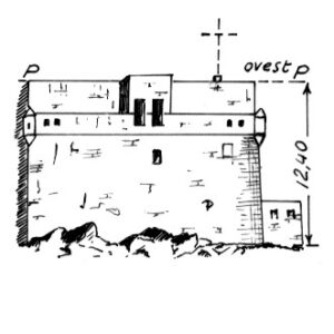 168236 - FORTE CAMICIOTTO