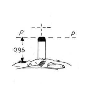 174062 - CIPPO DI CASA FLAMMIA