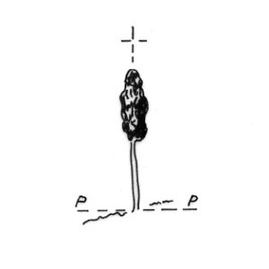 174102 - MONTE CRETA