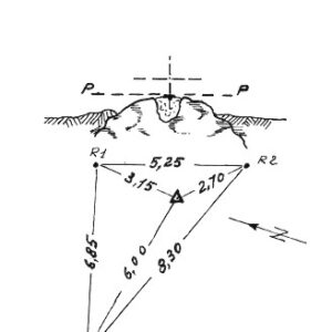 176150 - PIENE DELL'OLMO