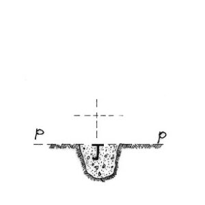 185260 - VENTERELLE INCORONATA