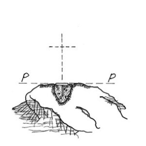 185269 - PARILLI