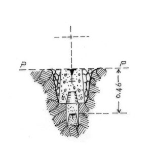 187067 - VISCIOLO