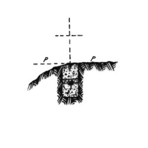 188056 - SERRA LAMOLASCESCIOLA