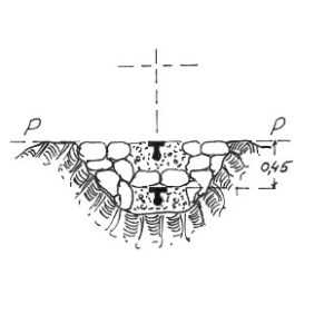 189039 - MURGIA LAMA ROSA