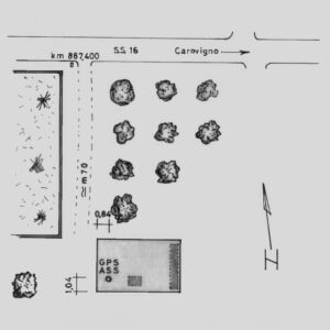 191801 - CAROVIGNO - A