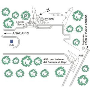196903 - PUNTA CARENA - A