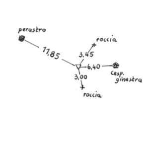 198120 - MAFIRI