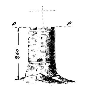 205002 - TORRE ARGENTINA