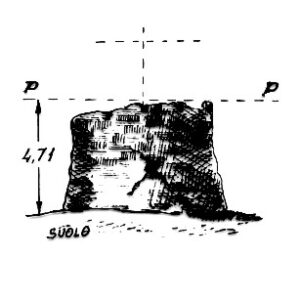 206012 - CAPO NIEDDU
