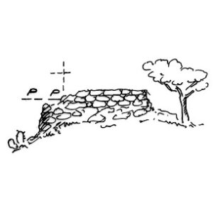 207092 - NURAGHE BORTALEO
