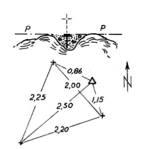 207135 - CRASTIDORZU
