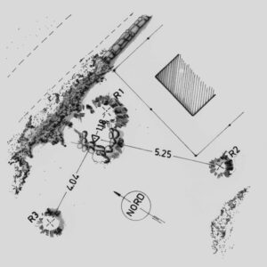 207903 - MONTE CANNAS