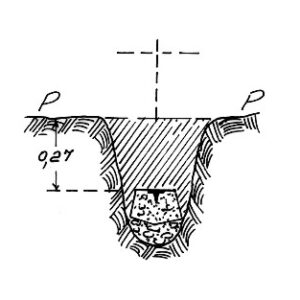 210032 - TEMPA LA PETA
