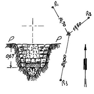 210037 - GRAMPOLLINARA