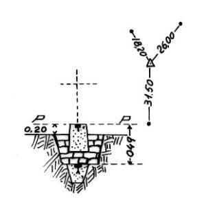 211010 - PETRUCELLI