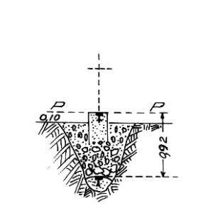 211037 - PIANO DELLE ROSE