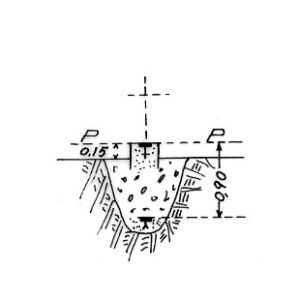 211046 - TIMPONE CECCOMARINO