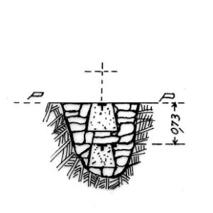 211052 - DIFESA POLLEDRI