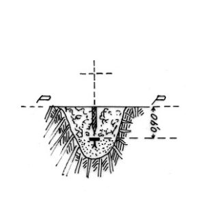 211107 - TIMPONE CAUCEA