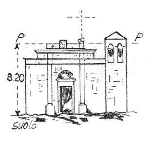 217049 - PALMAS ARBOREA