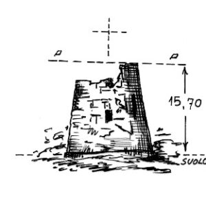 217085 - TORRE NUOVA