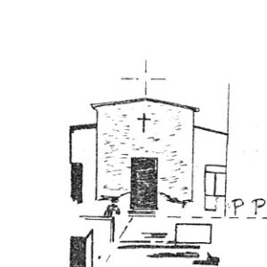 217120 - PALMAS ARBOREA