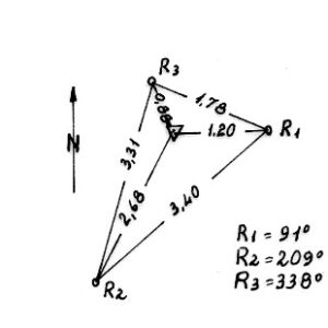 218011 - BRUNCU TRUISCUS
