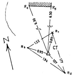 218114 - BRUNCU'E SU STANDARTU