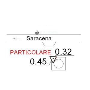 221607 - SARACENA