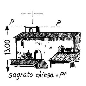 225125 - PAULI ARBAREI