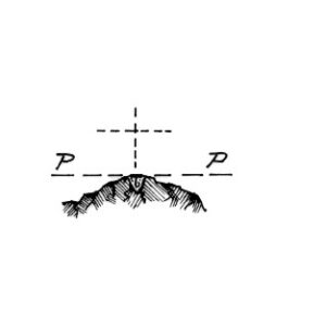 225239 - SCHINA DE SA SOLLA