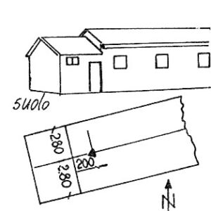 226204 - SAN CRISTOLU