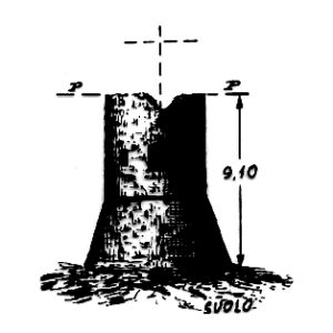 227061 - TORRE SAN LORENZO