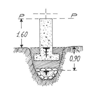 229019 - COZZO CERVELLO