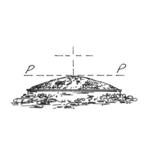 229022 - COLLE DOGNA