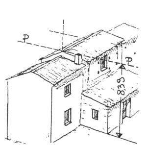 229024 - COZZO CARBONARO
