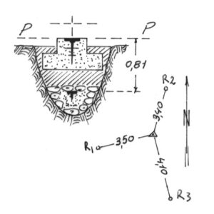 229037 - MACCHIA COSENTINA