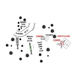 229609 - SAN BENEDETTO ULLANO