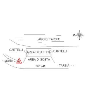229620 - TARSIA