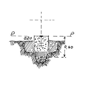 230017 - COZZO CIPODERO