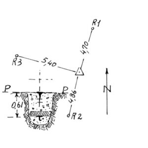 230031 - COZZO SEMINATO