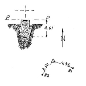 230040 - COZZO TIRONE