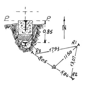 230085 - COZZO DI PINO TORTO