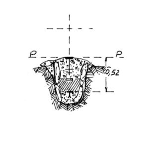 230090 - REGIONE DRAGONETTO