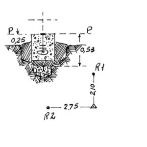 230098 - COZZO PISANO